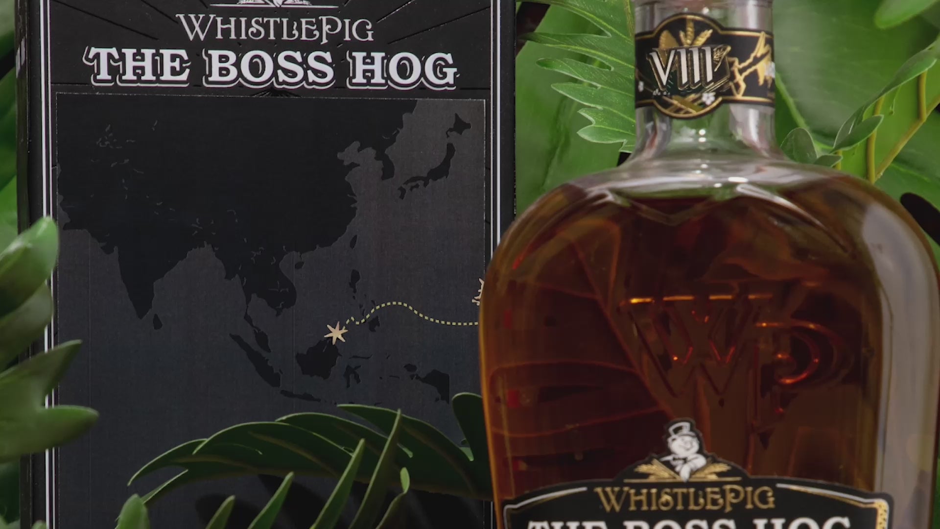 Load video: The Boss Hog VIII LapuLapu video